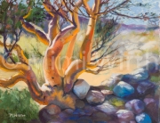 THE ELEPHANT TREE
