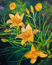 YELLOW LILLIES