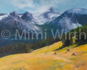 COLORADO MIST