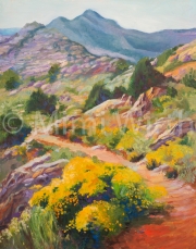 THE FLOWERED TRAIL