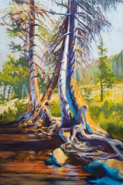 THE OLD TREE AT ECHO LAKE