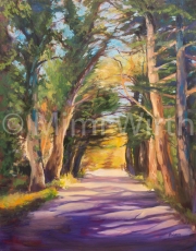 THE PATH TO MEDITATION, OLEMA, CALIFORNIA